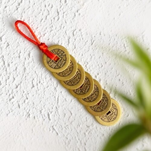 H10遮天阵.jpg H10:Seven Fortune Coins (Cultural Display Set)